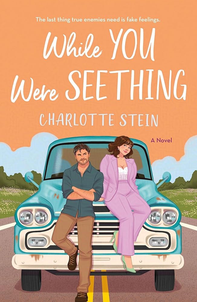 While You Were Seething cover image